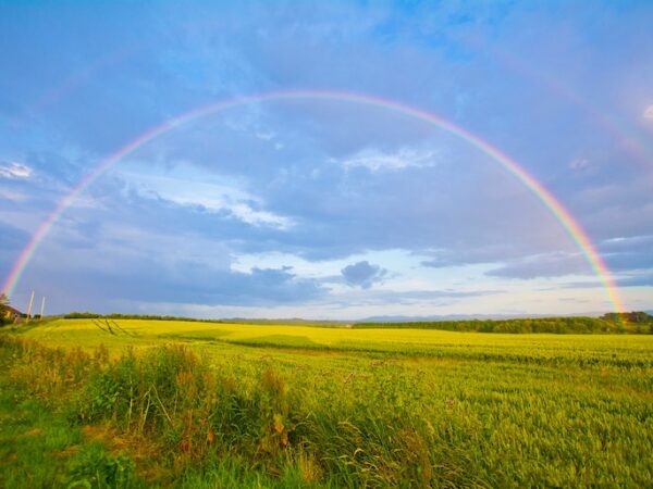 Rainbow Spiritual Meaning: How To Embrace Life’s Spectrum