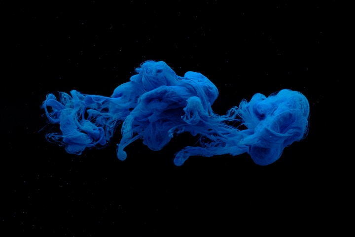 Jellyfish in Dreams